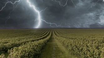 weather-effects-collage-concept
